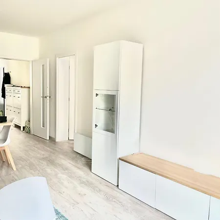 A Modern & Newly Designed